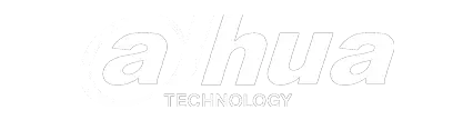 dahua